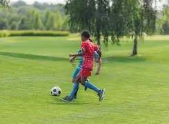 郑钦文网球,赛表现卓越,中网四强突,乐视体育视频,足球直播,篮球免费直播,足球视频在线观看,NBA免费直播高清无插件