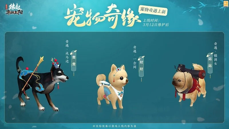 德约科维奇,前导师揭秘,其最珍贵特,乐视体育视频,足球直播,篮球免费直播,足球视频在线观看,NBA免费直播高清无插件