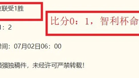 乐视体育乐视体育视频新动作落地引发关注